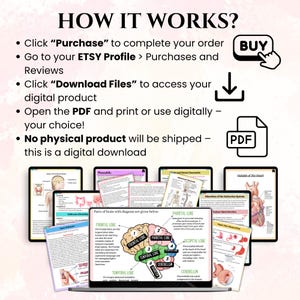 May include: Digital download instructions with a pink background. The text reads "HOW IT WORKS?" followed by steps to purchase and download a digital product. A laptop displays a brain diagram, surrounded by other educational diagrams.