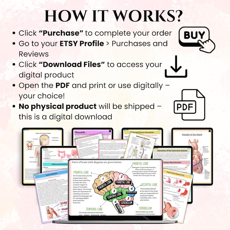 May include: Digital download instructions with a pink background. The text reads "HOW IT WORKS?" followed by steps to purchase and download a digital product. A laptop displays a brain diagram, surrounded by other educational diagrams.