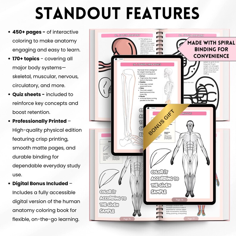 Human Anatomy Coloring Book Physical | Visual A&P Study Guide for ...