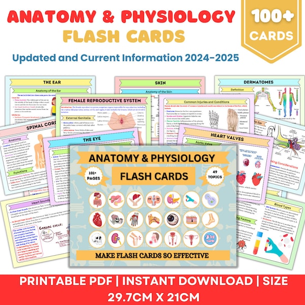 Anatomy & Physiology Flashcards | 49 Topics or 101+Pages |  Nursing School Notes | Anatomy Study Guide | Instant Download PDF | Medical Note