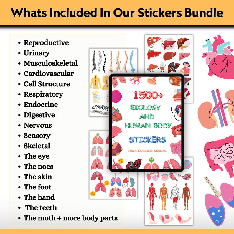 Sticker Humen Human Biology Digital Stickers 1100+ | Biology Sticker | Colourful ...