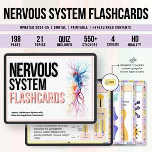 Flashcards van het zenuwstelsel met hyperlinks, medische aantekeningen, anatomie van de hersenen, studiegids, verpleegschool, instant download, aantekeningen medische operatie