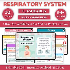 Tarjetas didácticas del sistema respiratorio / Estudio de enfermería de Med Surg / Notas de estudio / Descarga inmediata / Archivo PDF / Guía de estudio de enfermería