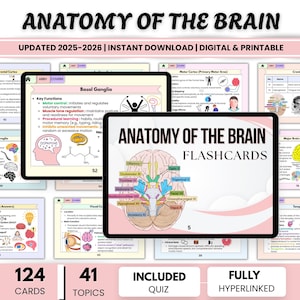 Könnte beinhalten: Digitale und druckbare Anatomie des Gehirns Karteikarten mit 124 Karten und 41 Themen. Das Bild zeigt ein Gehirndiagramm und den Text "Anatomy of the Brain Flashcards".