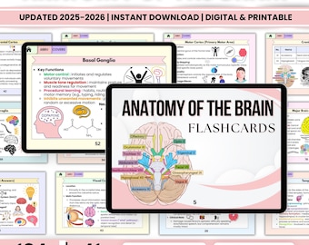 May include: Anatomy of the Brain flashcards, digital and printable, with 124 cards and 41 topics. The image shows a brain diagram and text that says "Anatomy of the Brain Flashcards".