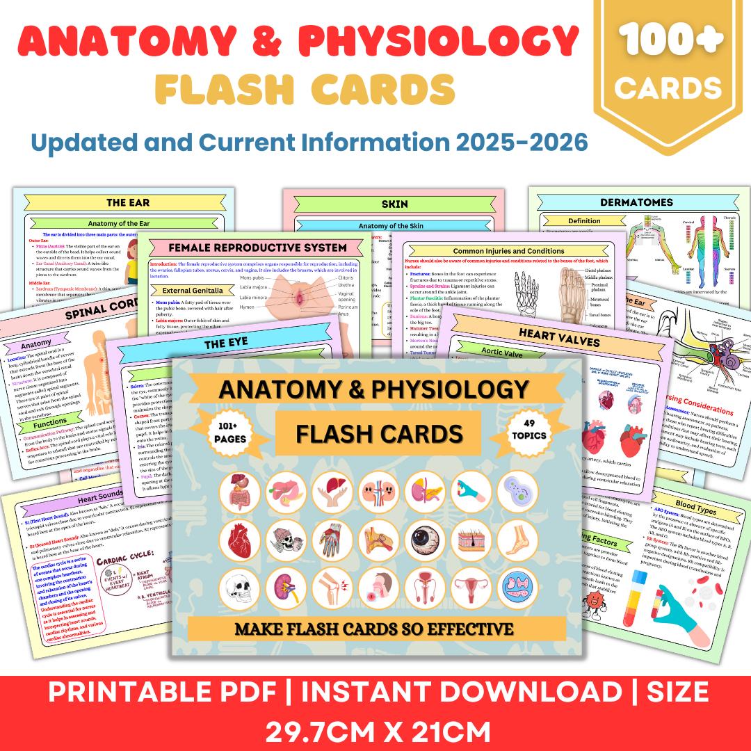 Anatomy & Physiology Flashcards | 49 Topics or 101+Pages |  Nursing School Notes | Anatomy Study Guide | Instant Download PDF | Medical Note