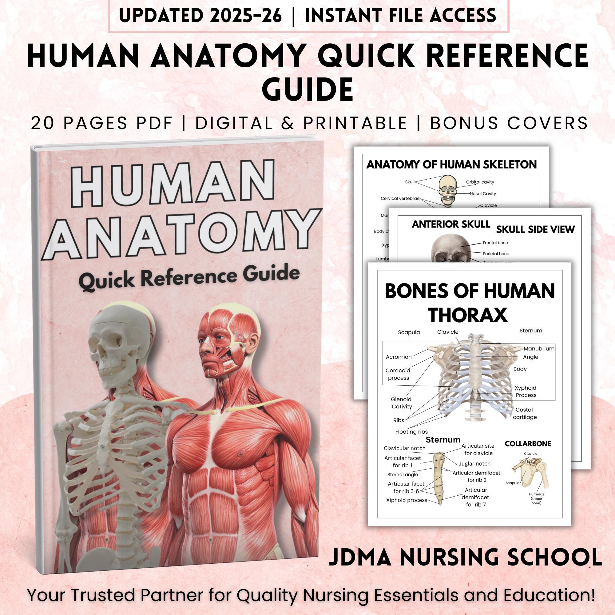 Anatomy Human, Human Anatomy Guide for Nursing Students, Updated 2025-26,  Included Bonus Covers, Human Body Systems, Digital \u0026 Printable - Etsy, image size:2000x2000