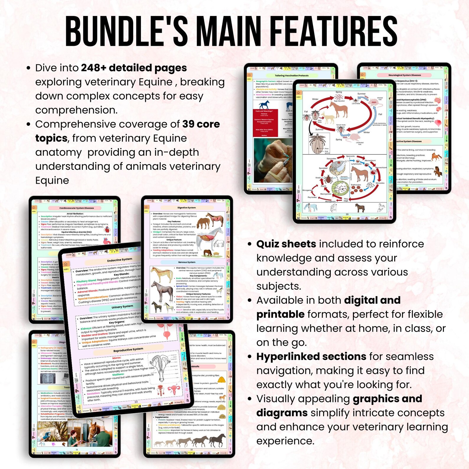 Equine Veterinary Notes Bundle Hyperlinked, Equine Medicine Notes ...