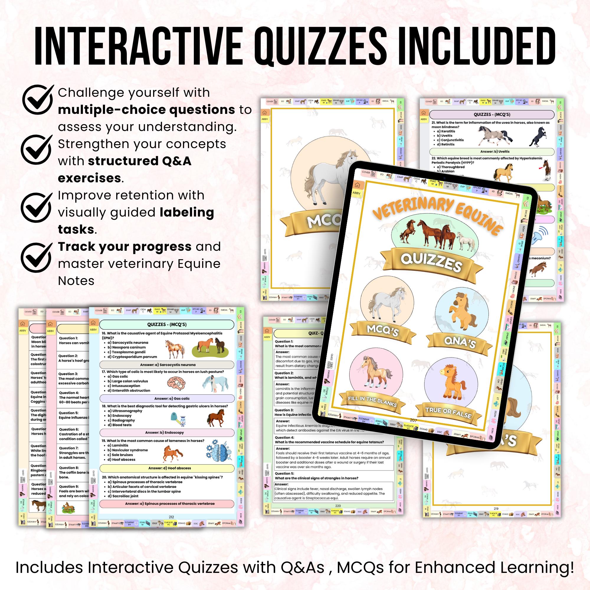Equine Veterinary Notes Bundle Hyperlinked, Equine Medicine Notes ...