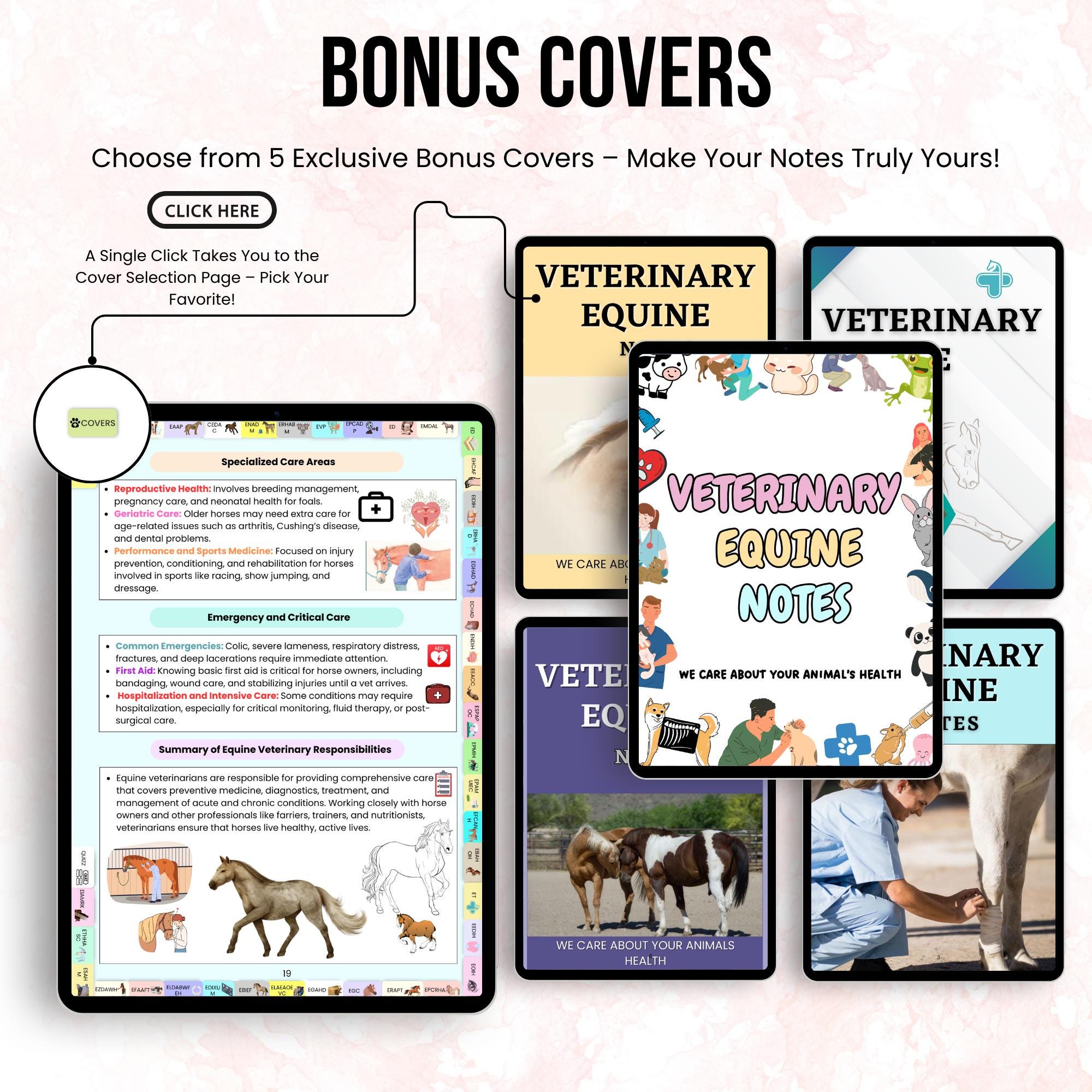 Equine Veterinary Notes Bundle Hyperlinked, Equine Medicine Notes ...