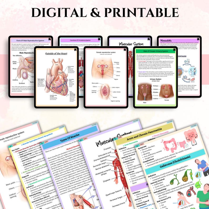 May include: A collection of digital and printable medical diagrams, including the male and female reproductive systems, the heart, and the muscular system. The text "DIGITAL & PRINTABLE" is at the top.