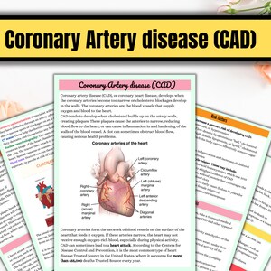 May include: Diagram of the human heart showing the coronary arteries, which are the blood vessels that supply oxygen to the heart. The diagram shows the left and right coronary arteries, as well as the circumflex, marginal, and diagonal arteries. The text "Coronary Artery Disease (CAD)" is at the top of the diagram.