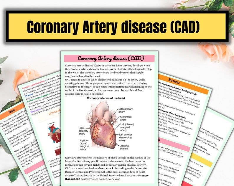 May include: Diagram of the human heart showing the coronary arteries, which are the blood vessels that supply oxygen to the heart. The diagram shows the left and right coronary arteries, as well as the circumflex, marginal, and diagonal arteries. The text "Coronary Artery Disease (CAD)" is at the top of the diagram.