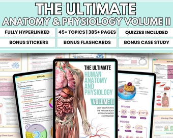Anatomy & Physiology Volume 2 Hyperlink Bundle with Flashcards and Sticker Quizzes, Anatomy Study Guide, Nursing School Notes, Medical Notes