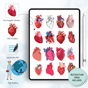 May include: A digital planner page with 16 different illustrations of hearts, including anatomical hearts, stylized hearts, and a heart with a line drawing. The text "INSTRUCTION VIDEO INCLUDED" is in the lower right corner of the page.