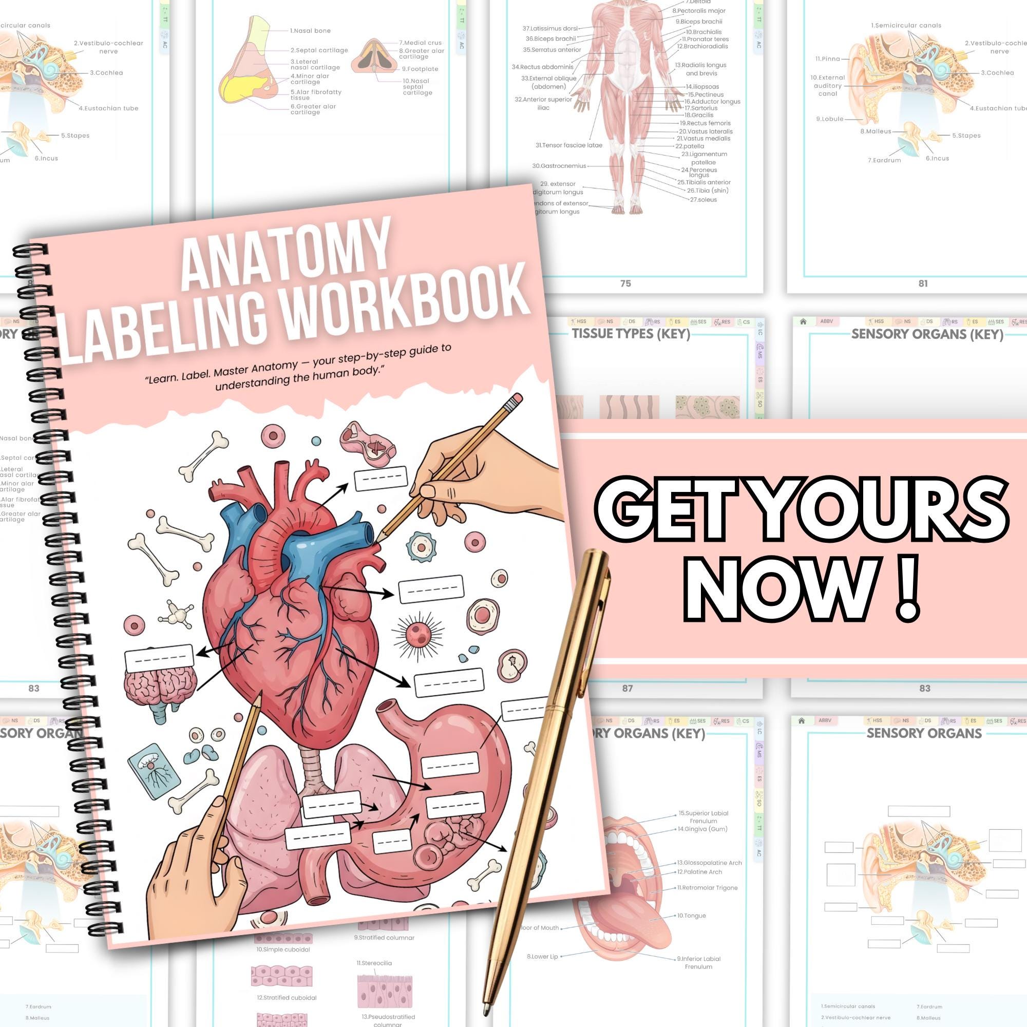 Anatomy Labeling Workbook | Human Body Systems Printable | Nursing ...