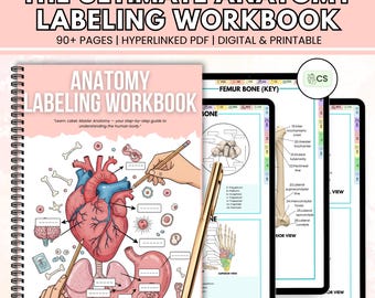 Anatomy Labeling Workbook | Human Body Systems Printable | Nursing School Study Guide PDF | Bonus Anatomy Mnemonics Sheet Included