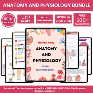 Paquete de anatomía y fisiología con fichas y pegatinas / Guía de estudio de anatomía / Apuntes de la escuela de enfermería / Apuntes médicos / Descarga instantánea en PDF