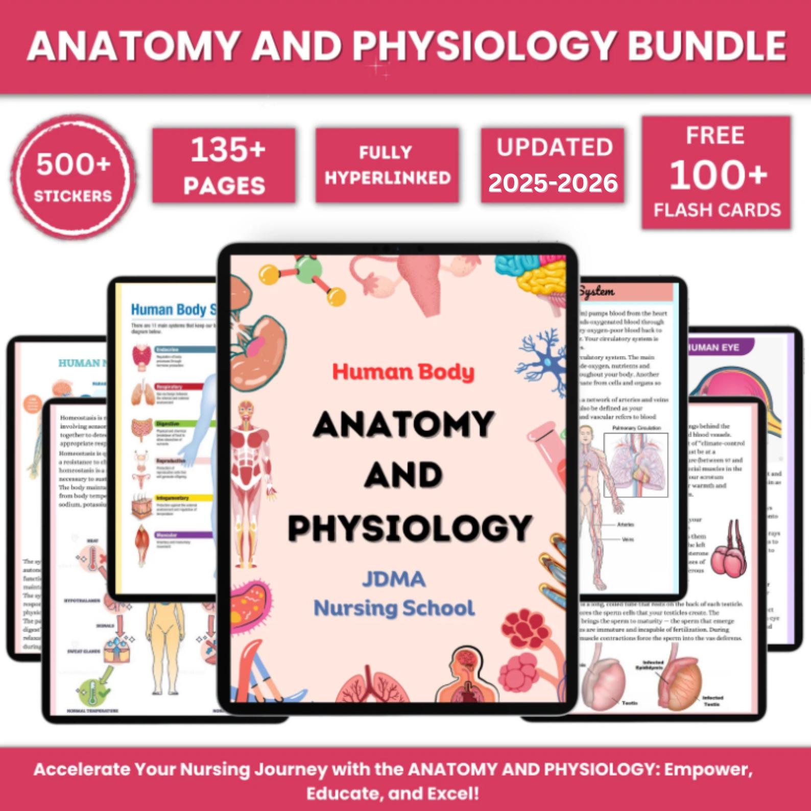 Anatomy & Physiology Bundle with Flashcards and Stickers | Anatomy Study Guide | Nursing School Notes | Medical Notes | Instant Download PDF