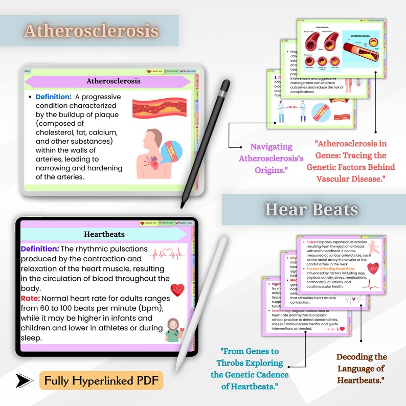 Cardiovascular System Flashcards Hyperlinked PDF | Nursing School ...