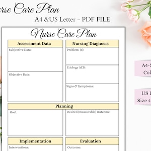 Nurse Care Plan | Nursing Notes | Printable Sheet | Care Plan Template | Digital Download