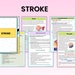 Neurological System | Neuro Bundle Notes | Med Surg Notes | Pritnable ...
