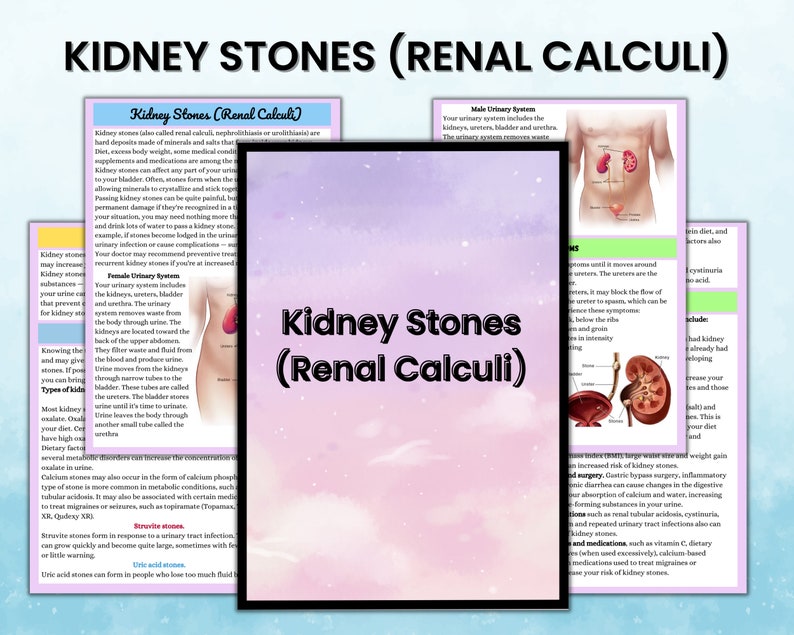 Urinary Disorder | Renal System Study Guide | Nursing Notes | Digital ...