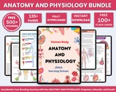 Anatomy & Physiology Bundle with Flashcards and Stickers | Anatomy Study Guide | Nursing School Notes | Medical Notes | Instant Download PDF