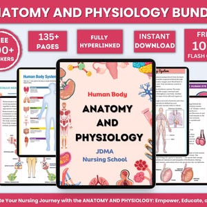 解剖学と生理学のバンドル（フラッシュカードとステッカー付き）｜解剖学学習ガイド｜看護学校ノート｜医療ノート｜PDFの即時ダウンロード