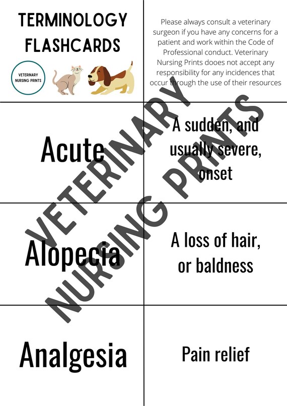 Veterinary Terminology Flashcards Etsy