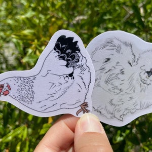 Silkie | Delaware | Chicken| Farm| Sticker| Cowgirl