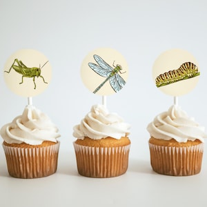 Puede incluir: Tres cupcakes con glaseado blanco cubiertos con adornos redondos de papel para cupcakes que muestran ilustraciones de un saltamontes, una libélula y una oruga.