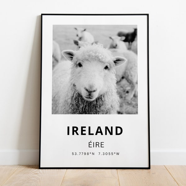 Black and White Photography Wall Art, Ireland Print, Irish Art, Ireland Poster, Dublin Travel, Digital Download, Sheep Print, Irish Prints