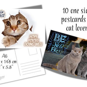 Lot de 10 cartes postales simples | Thème du chat | Phrases de motivation | Format A6 | Téléchargement numérique