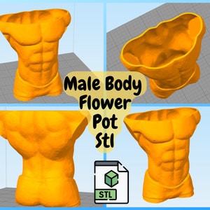 以下が含まれることがあります： 花瓶として使用するために設計された、男性の胴体の3Dプリントモデル。モデルはオレンジ色で、筋肉のディテールが細かく表現されています。画像には「Male Body Flower Pot STL」というテキストが含まれています。