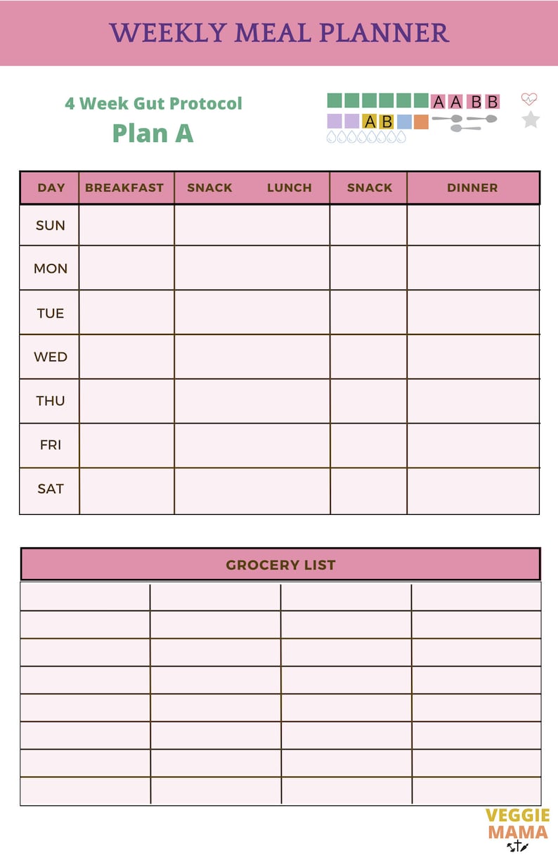 4 Week Gut Protocol Meal Plan 4 Week Gut Protocol Plan A Meal Planner and Daily Container - Etsy