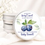 Berry Baskets