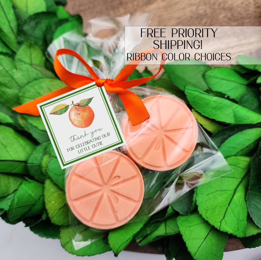 Cutie Baby Shower Favors Fruit Baby Shower Favors Citrus Etsy