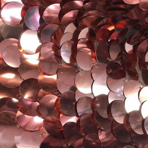 Può includere: Primo piano di paillettes color oro rosa su un tessuto a rete. Le paillettes sono rotonde e si sovrappongono, creando un effetto scintillante.