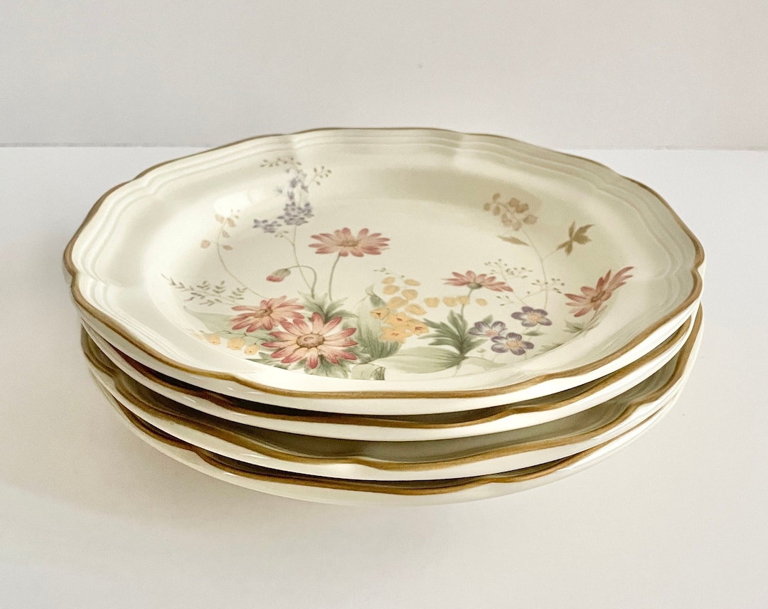 Interesting Info About Mikasa Samantha Plates
