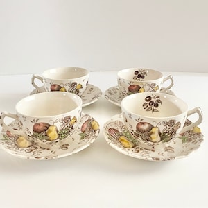 Conjunto de xícara e pires vintage Johnson Brothers Autumn&#39;s Delight