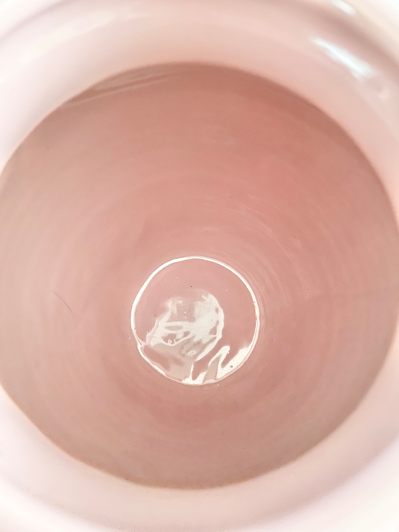 May include: A close-up view of the inside of a pale pink ceramic planter. The planter has a smooth, glossy finish and a circular opening at the bottom.