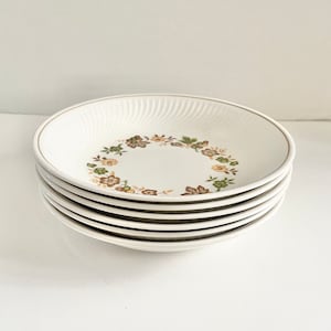 Vintage Midland Enterprises Japan Autumn Ironstone Coupe Soup Bowls Set of 6