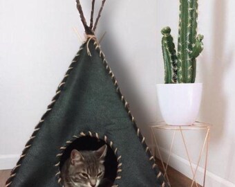 kitten teepee