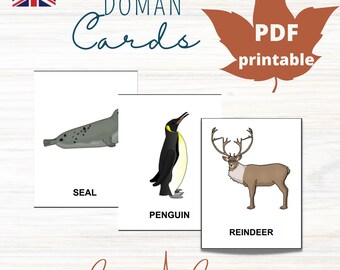 POLAR ANIMALS Card Material * 11 Montessori Nomenclature Flash Cards * Educational Homeschooling Printable * Doman Cards