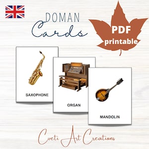 MUSIC INSTRUMENTS Card Material * 26 Montessori Nomenclature Flash Cards * Educational Homeschooling Printable Doman Cards