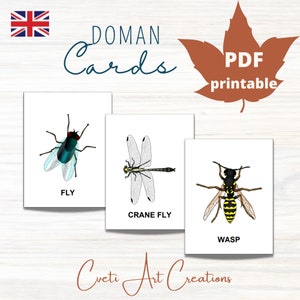 Materiale della scheda MINIBEASTS * 11 Flash Card con nomenclatura Montessori * Stampabile per l'istruzione domiciliare educativa * Carte Doman