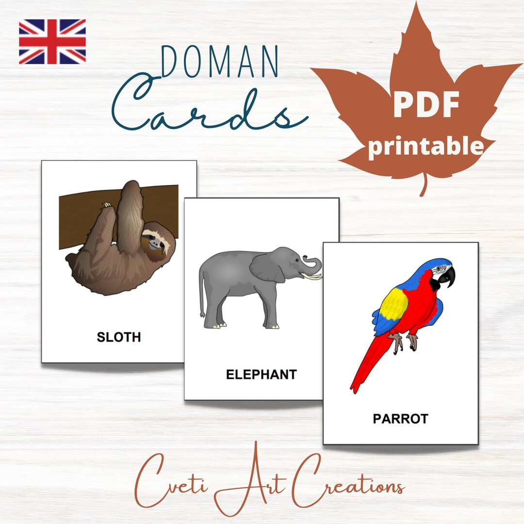 JUNGLE ANIMALS Card Material * 20 Montessori Nomenclature Flash Cards ...