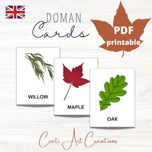 Matériel de carte de feuilles de plantes * 18 cartes Flash de nomenclature Montessori * cartes Doman imprimables pour l'enseignement à domicile