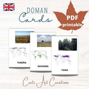 Living Or Nonliving Real Pictures Montessori Cards Flash Etsy 日本